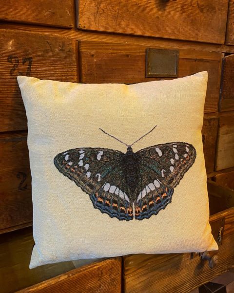 coussin papillon cerise noire