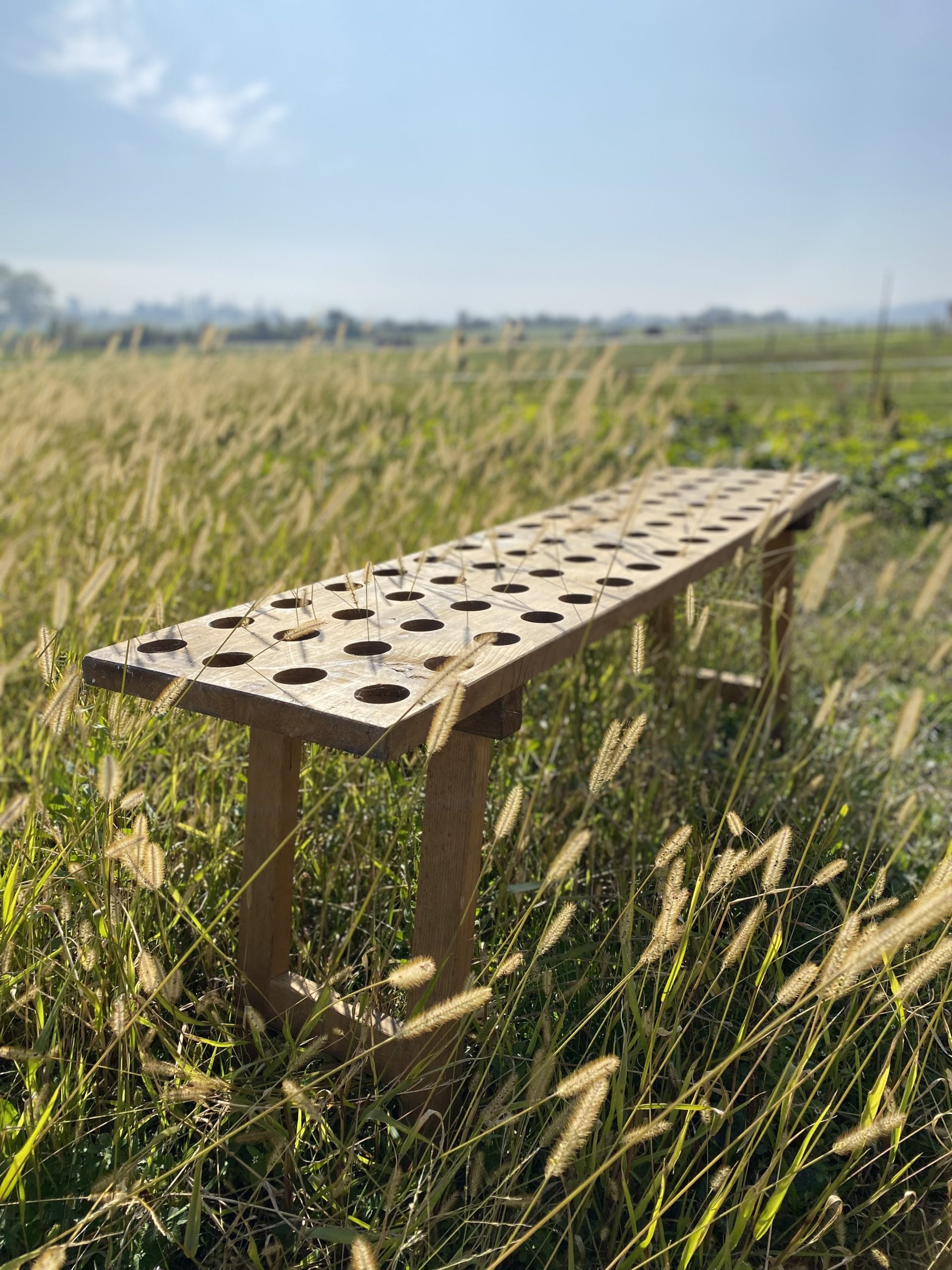 seche bouteille cerise noire