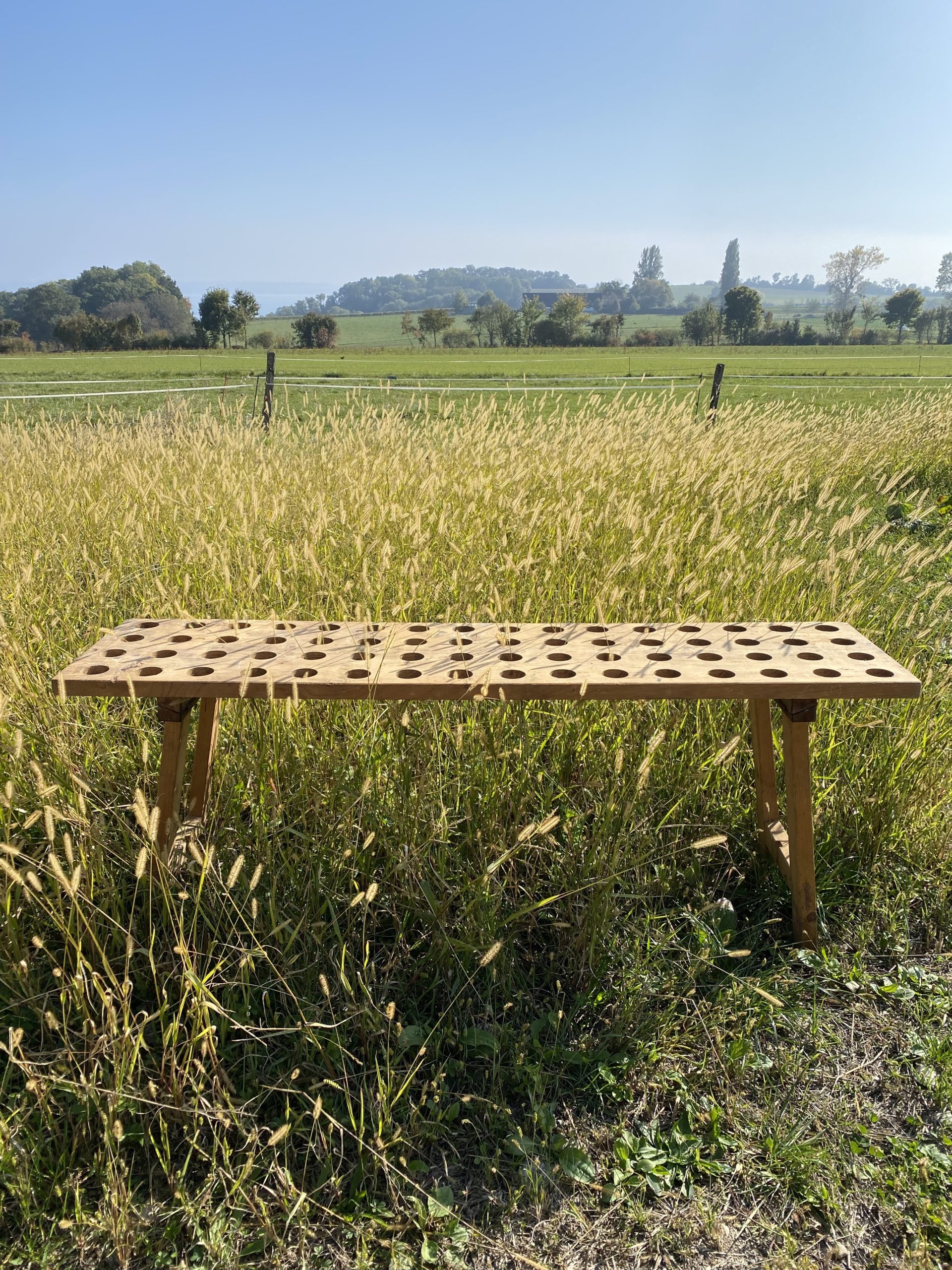 seche bouteille cerise noire