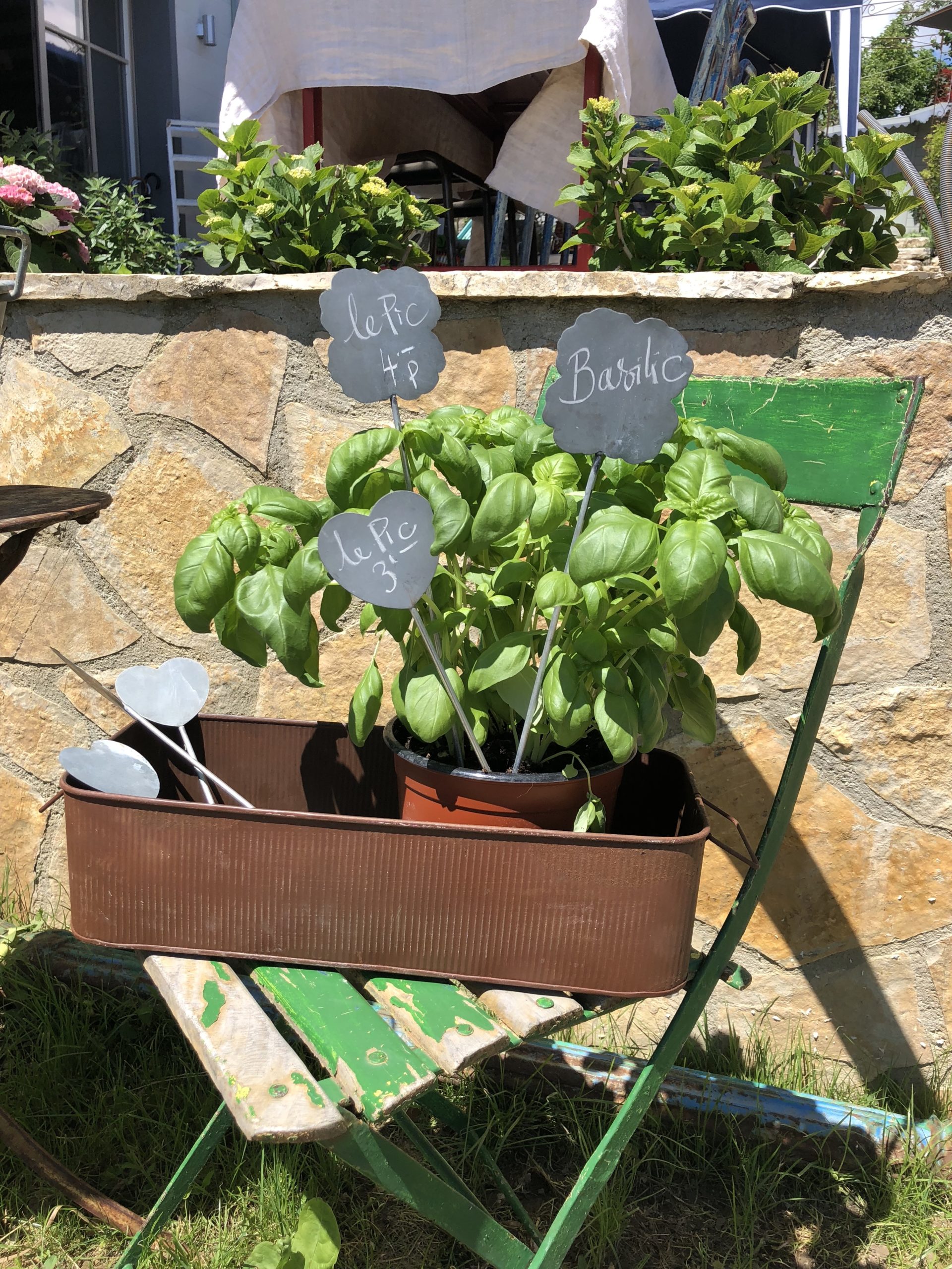 pic-fleur-zinc pic-fleur-zinc