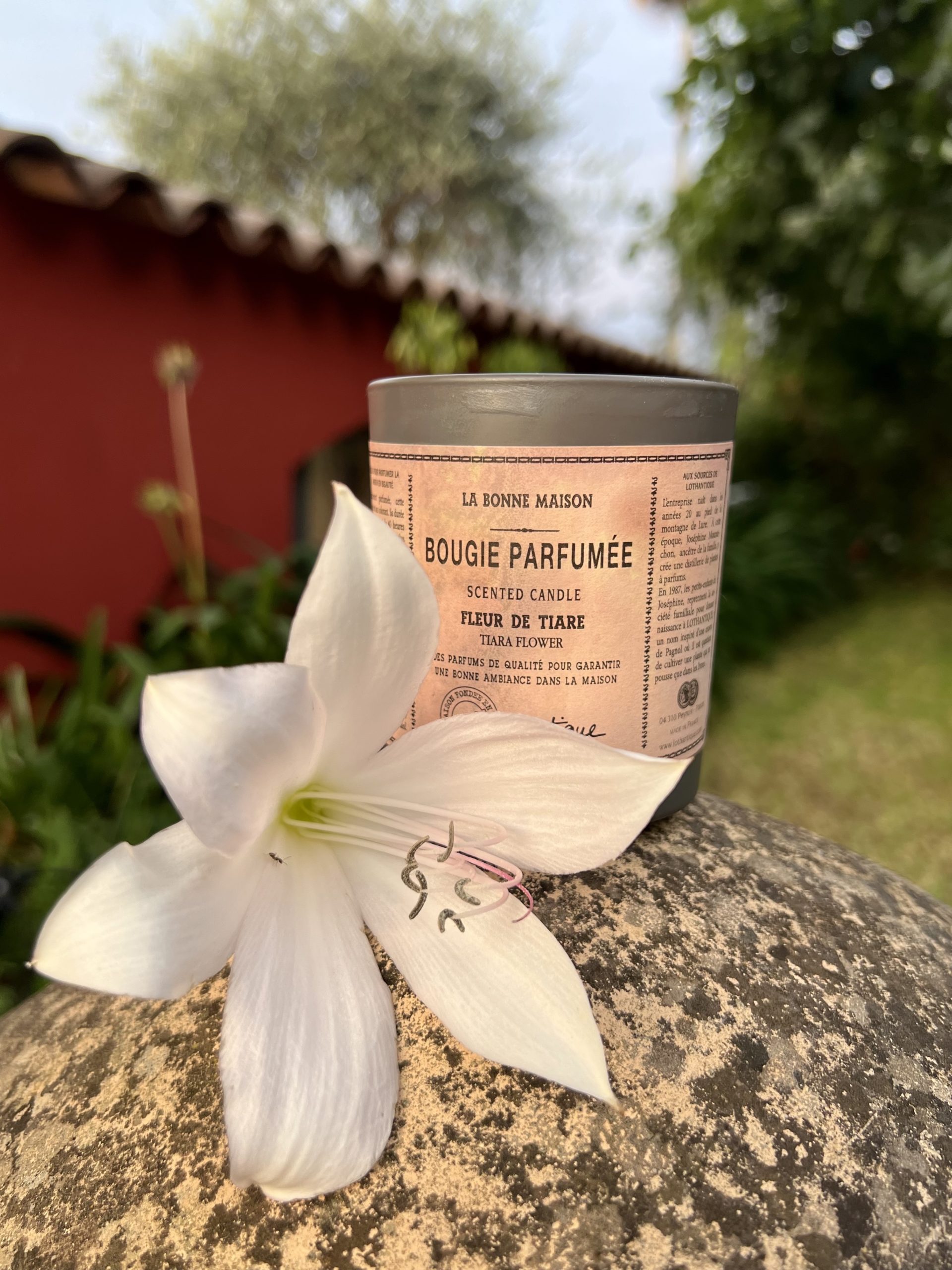 bougie-tiare-lothantique