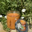 bougie-gourmande-fleur-doranger