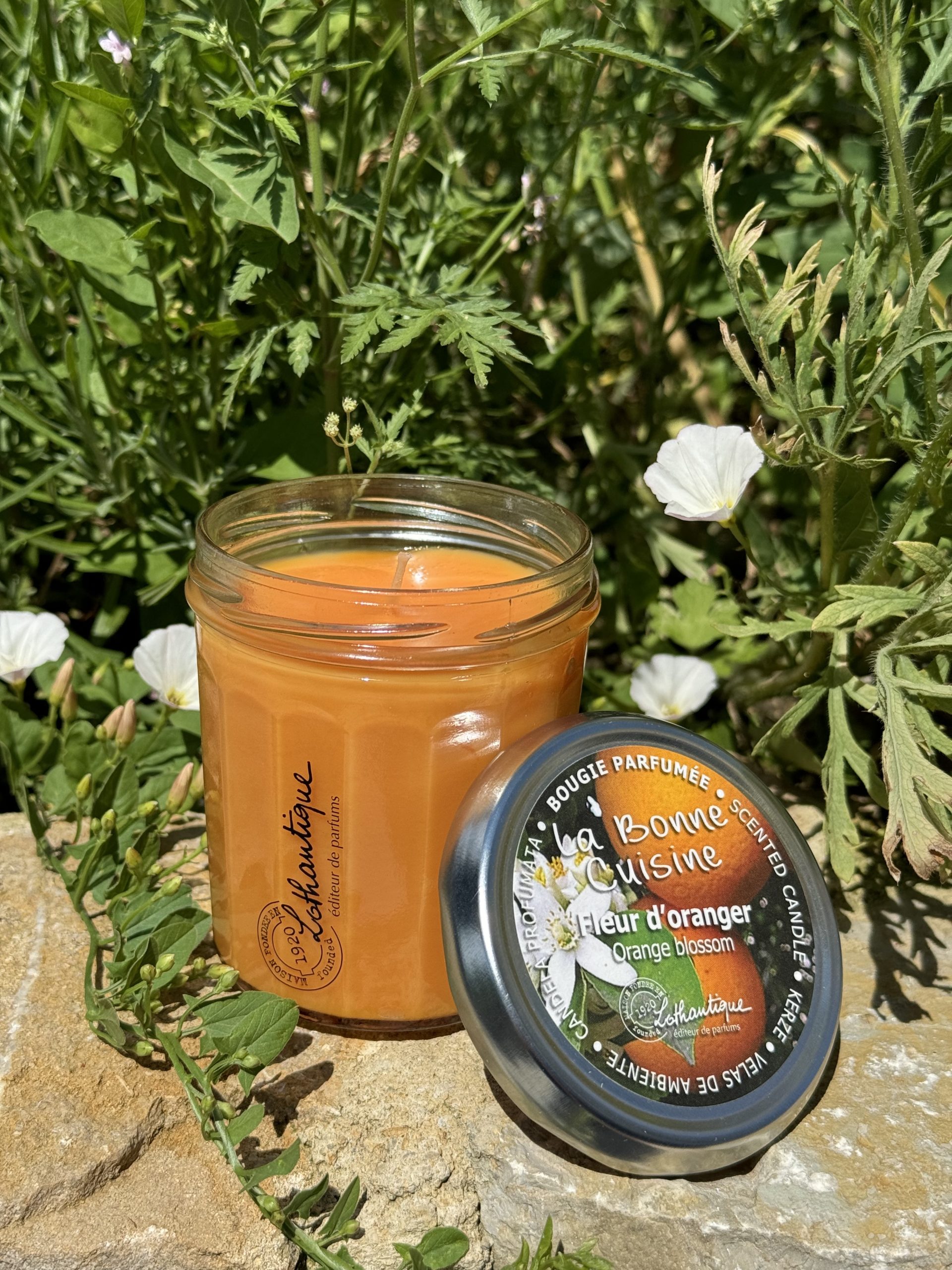 bougie-gourmande-fleur-doranger