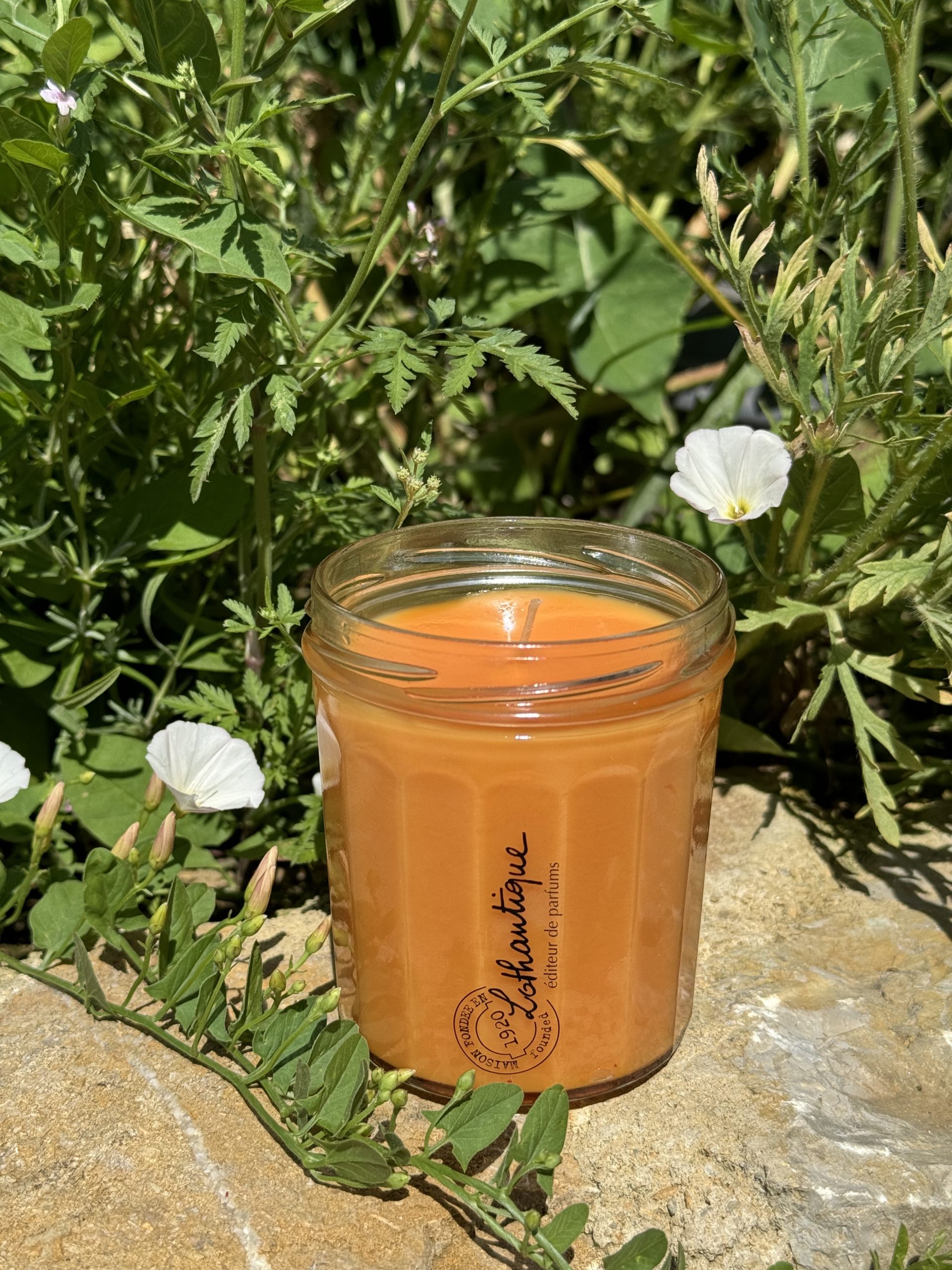 bougie-gourmande-fleur-doranger