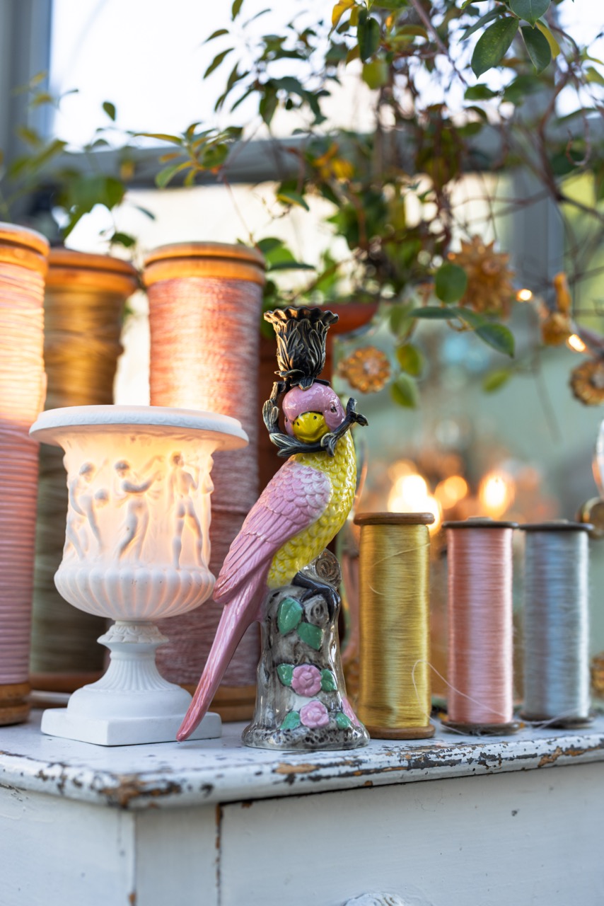 bougeoir-perroquet-rice